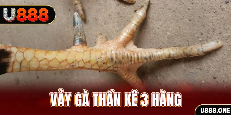 hq88 nổ hũ đổi thưởng . ai
