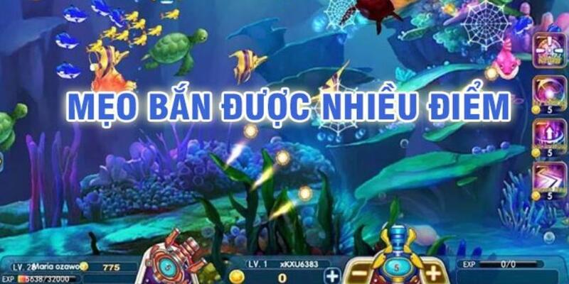 hq88 đá gà