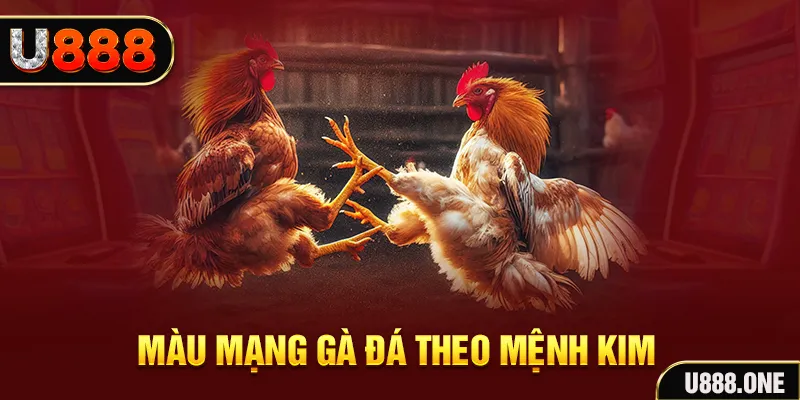 hq88 gà chọi tiêu phong