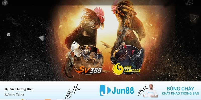 hq88 xổ số miền nam hàng tuần