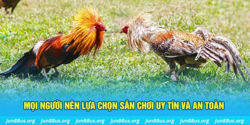 hq88 khi nào thì nổ hũ tài xỉu