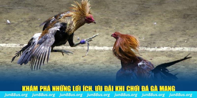 hq88 Tài Xỉu 2