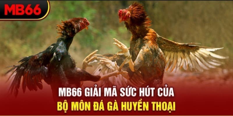 hq88 long bảo trong baccarat là gì