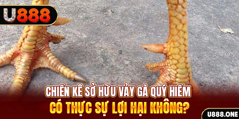 hq88 game cá cược máy bay