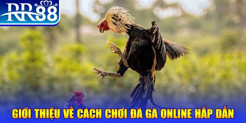 hq88 nổ hũ 2 mặt là gì