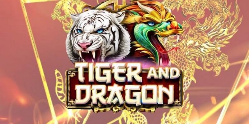 hq88 cá cược tiếng anh là gì