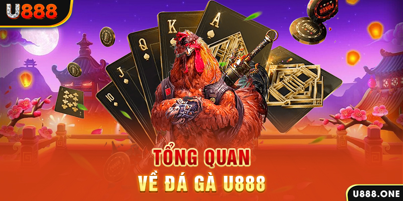 hq88 what is casino bonus wagering